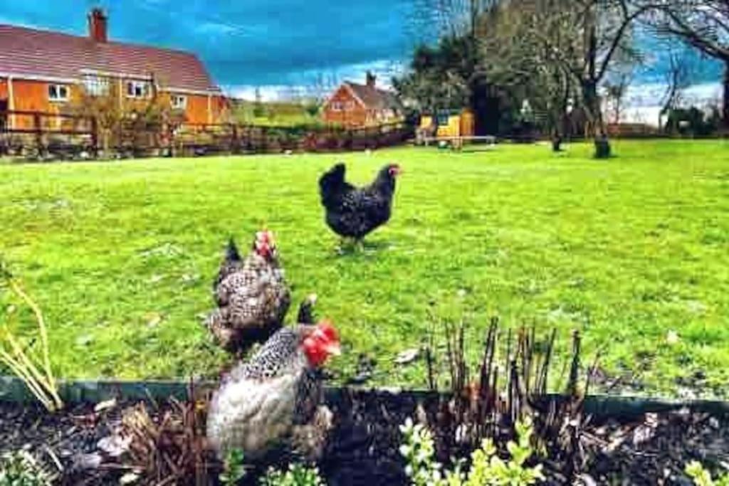 Stylish Cottage In The Pewsey Vale มาร์ลบะระ ภายนอก รูปภาพ
